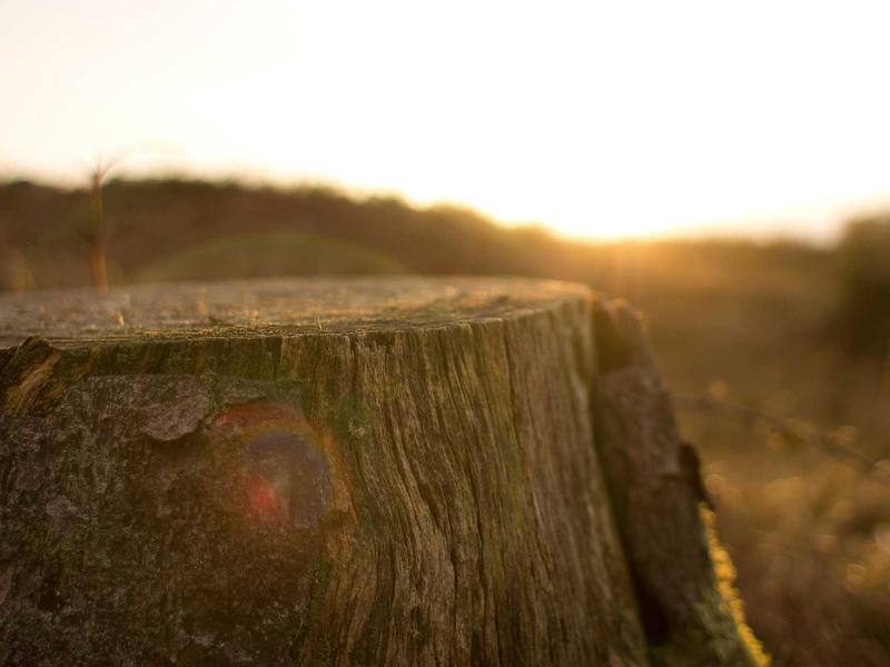 sudoku device transfer screenshot 3